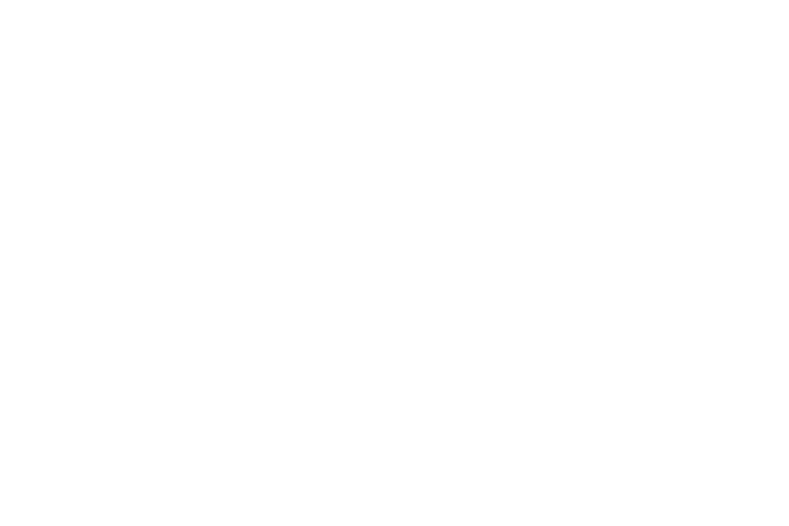 NFSM Logo White